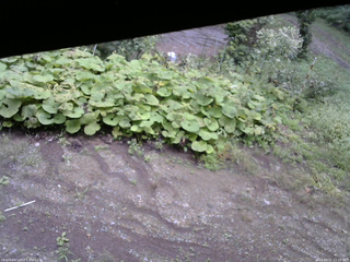 長野県菅平高原 ゆたか山荘 駐車場 2025/09/11 11:15