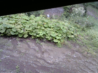 長野県菅平高原 ゆたか山荘 駐車場 2025/09/11 11:45