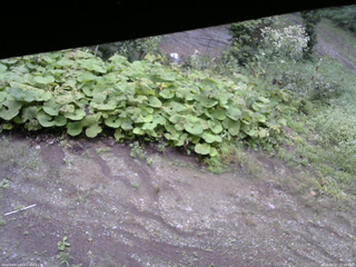 長野県菅平高原 ゆたか山荘 駐車場 2025/09/11 12:00