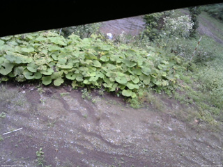 長野県菅平高原 ゆたか山荘 駐車場 2025/09/11 12:15