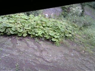 長野県菅平高原 ゆたか山荘 駐車場 2025/09/11 12:30