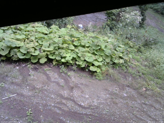 長野県菅平高原 ゆたか山荘 駐車場 2025/09/11 12:45