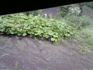 長野県菅平高原 ゆたか山荘 駐車場 2025/09/11 13:15