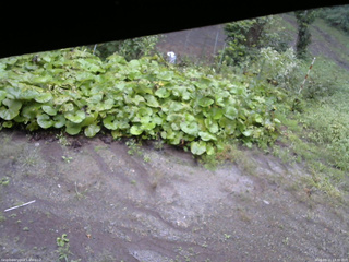 長野県菅平高原 ゆたか山荘 駐車場 2025/09/11 13:30