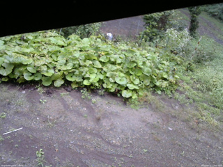 長野県菅平高原 ゆたか山荘 駐車場 2025/09/11 13:45