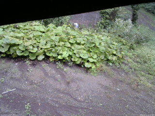 長野県菅平高原 ゆたか山荘 駐車場 2025/09/11 14:00