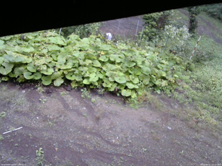 長野県菅平高原 ゆたか山荘 駐車場 2025/09/11 14:15