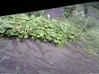 長野県菅平高原 ゆたか山荘 駐車場 2025/09/11 14:30