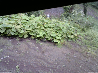 長野県菅平高原 ゆたか山荘 駐車場 2025/09/11 14:45