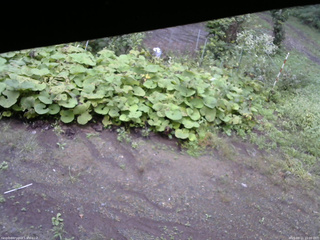 長野県菅平高原 ゆたか山荘 駐車場 2025/09/11 15:00