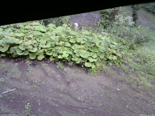 長野県菅平高原 ゆたか山荘 駐車場 2025/09/11 15:15