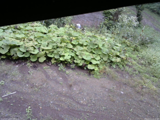 長野県菅平高原 ゆたか山荘 駐車場 2025/09/11 15:30