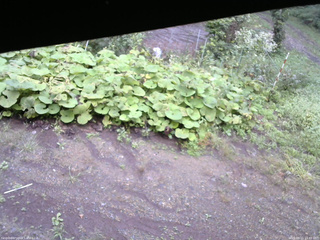 長野県菅平高原 ゆたか山荘 駐車場 2025/09/11 15:45