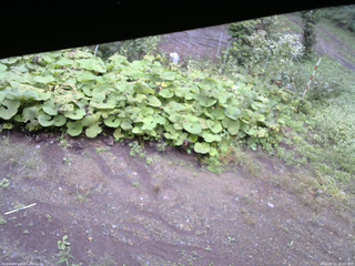 長野県菅平高原 ゆたか山荘 駐車場 2025/09/11 16:00