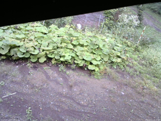 長野県菅平高原 ゆたか山荘 駐車場 2025/09/11 16:15