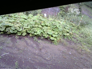 長野県菅平高原 ゆたか山荘 駐車場 2025/09/11 16:30