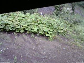 長野県菅平高原 ゆたか山荘 駐車場 2025/09/11 16:45