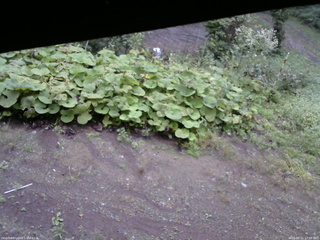 長野県菅平高原 ゆたか山荘 駐車場 2025/09/11 17:00