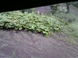 長野県菅平高原 ゆたか山荘 駐車場 2025/09/11 17:15