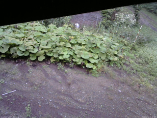 長野県菅平高原 ゆたか山荘 駐車場 2025/09/11 17:30