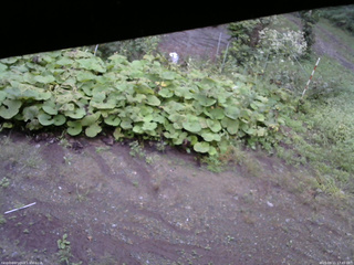 長野県菅平高原 ゆたか山荘 駐車場 2025/09/11 17:45
