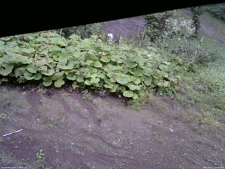 長野県菅平高原 ゆたか山荘 駐車場 2025/09/11 18:00