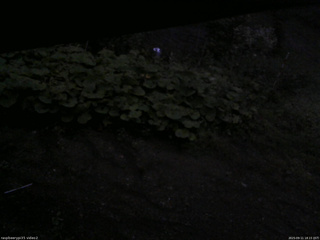 長野県菅平高原 ゆたか山荘 駐車場 2025/09/11 18:15