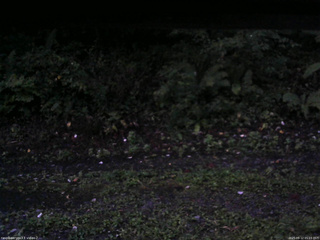 長野県菅平高原 ゆたか山荘 南側 2025/09/12 05:15