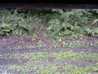 長野県菅平高原 ゆたか山荘 南側 2025/09/12 16:45