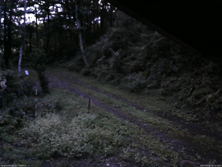 長野県菅平高原 ゆたか山荘 東側(坂下) 2025/09/12 05:15