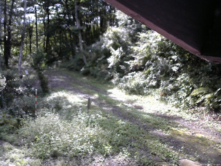 長野県菅平高原 ゆたか山荘 東側(坂下) 2025/09/12 07:45