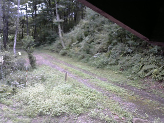 長野県菅平高原 ゆたか山荘 東側(坂下) 2025/09/12 09:30