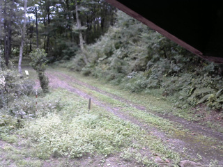 長野県菅平高原 ゆたか山荘 東側(坂下) 2025/09/12 09:45