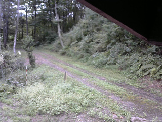 長野県菅平高原 ゆたか山荘 東側(坂下) 2025/09/12 13:00