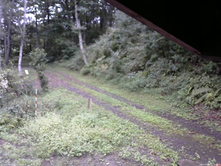 長野県菅平高原 ゆたか山荘 東側(坂下) 2025/09/12 15:00
