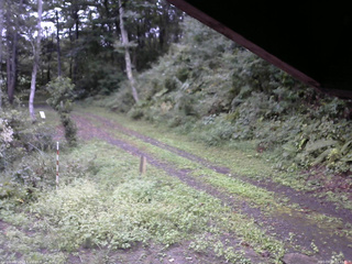 長野県菅平高原 ゆたか山荘 東側(坂下) 2025/09/12 15:45