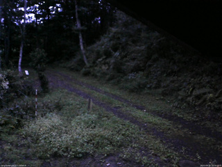 長野県菅平高原 ゆたか山荘 東側(坂下) 2025/09/12 18:00