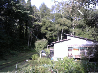 長野県菅平高原 ゆたか山荘 西側(坂上) 2025/09/12 07:00