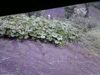 長野県菅平高原 ゆたか山荘 駐車場 2025/09/12 05:45