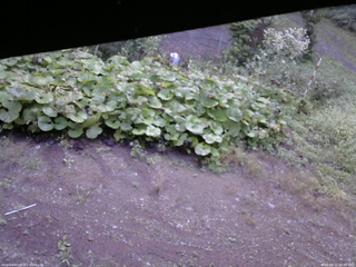 長野県菅平高原 ゆたか山荘 駐車場 2025/09/12 06:00