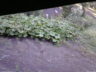 長野県菅平高原 ゆたか山荘 駐車場 2025/09/12 06:15