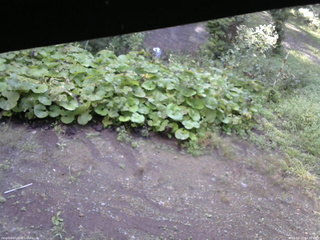 長野県菅平高原 ゆたか山荘 駐車場 2025/09/12 06:30