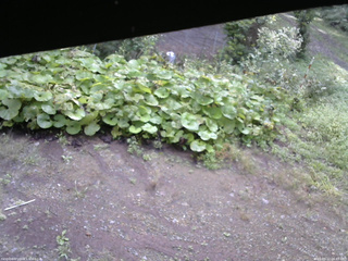 長野県菅平高原 ゆたか山荘 駐車場 2025/09/12 06:45