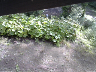 長野県菅平高原 ゆたか山荘 駐車場 2025/09/12 08:00