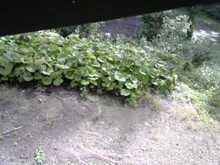 長野県菅平高原 ゆたか山荘 駐車場 2025/09/12 08:15