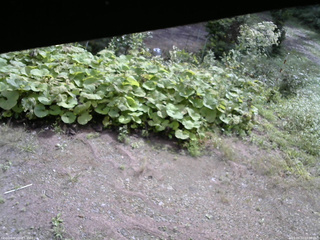 長野県菅平高原 ゆたか山荘 駐車場 2025/09/12 09:00