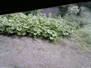 長野県菅平高原 ゆたか山荘 駐車場 2025/09/12 09:15