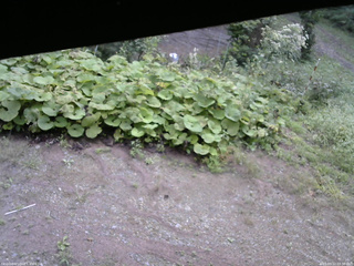 長野県菅平高原 ゆたか山荘 駐車場 2025/09/12 09:30