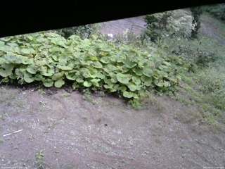 長野県菅平高原 ゆたか山荘 駐車場 2025/09/12 10:45