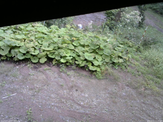 長野県菅平高原 ゆたか山荘 駐車場 2025/09/12 11:15